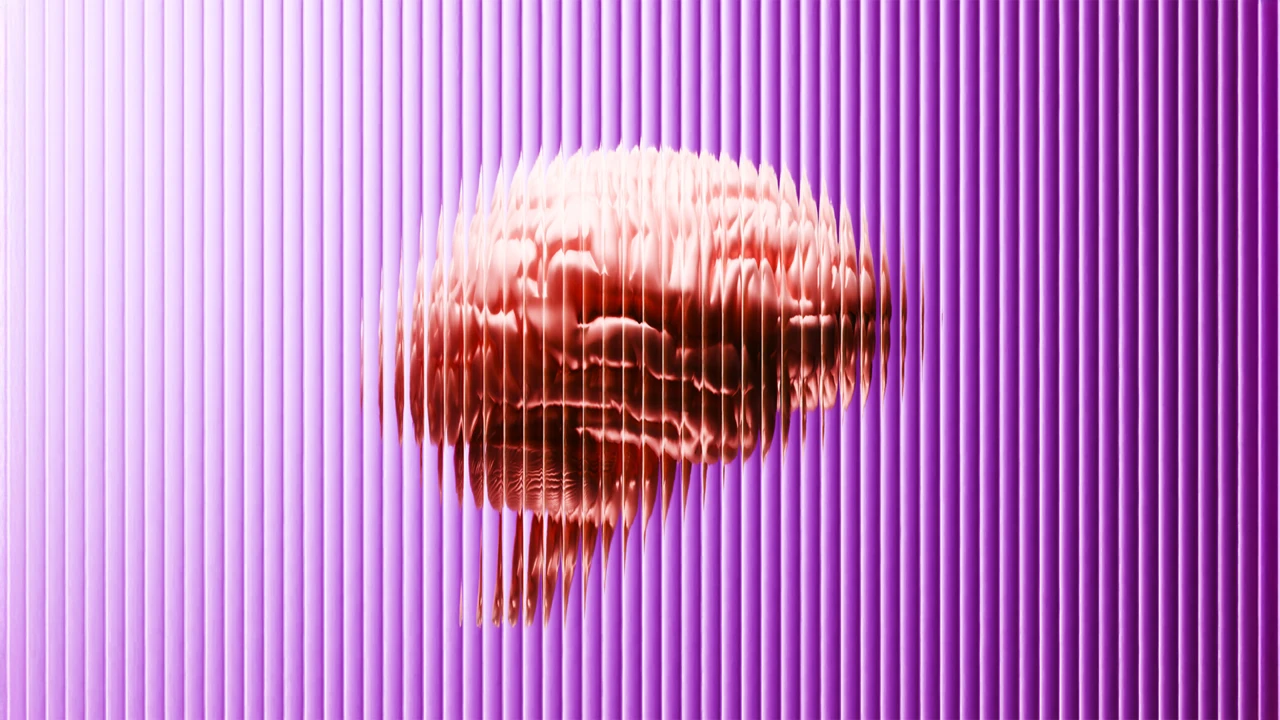 1920x1080_dojrzewanie2.0