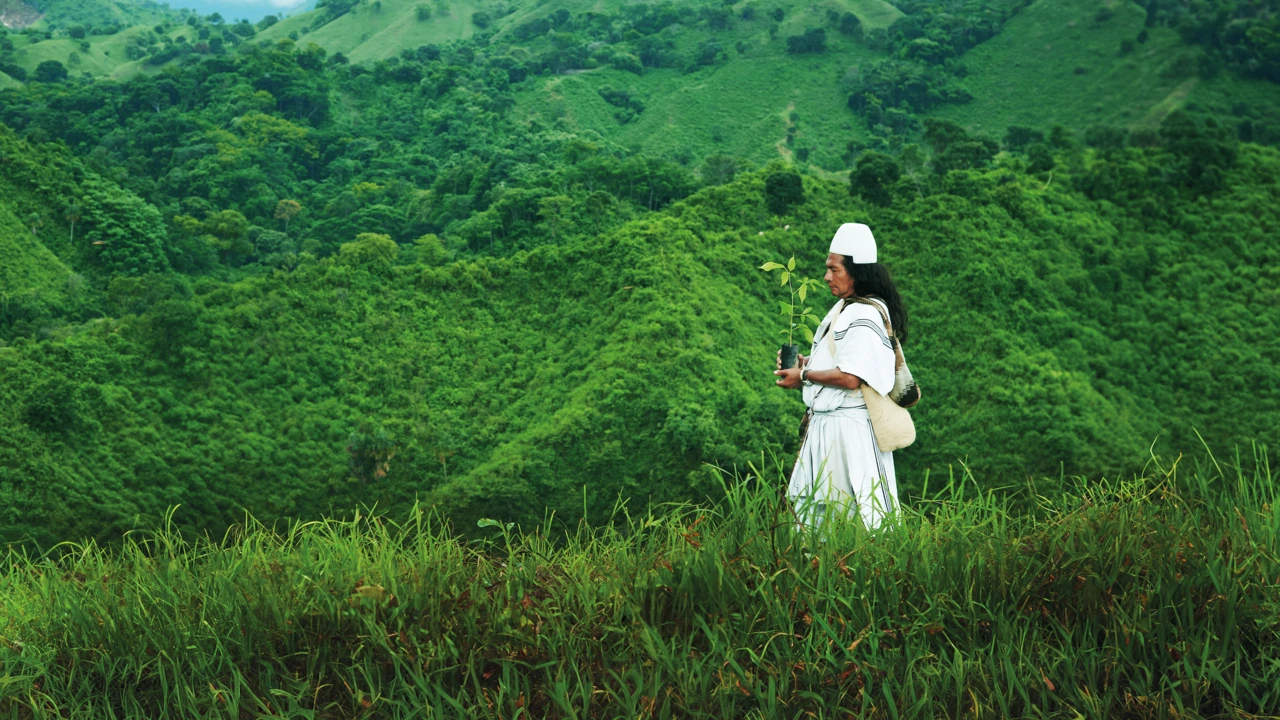 arhuaco-rogelio-walking-nature-JPG