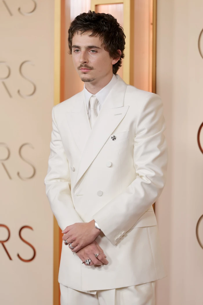 Timothee Chalamet Oscary
