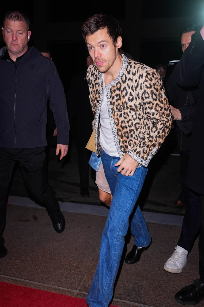 Harry Styles