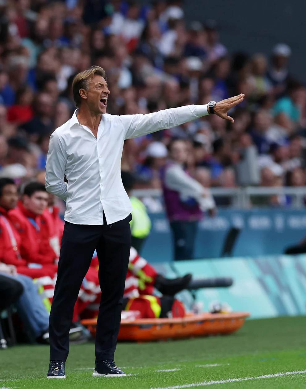 Herv&eacute; Renard
