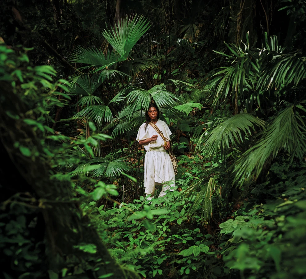 arhuaco-nature-shot-jungle-with-man-JPG