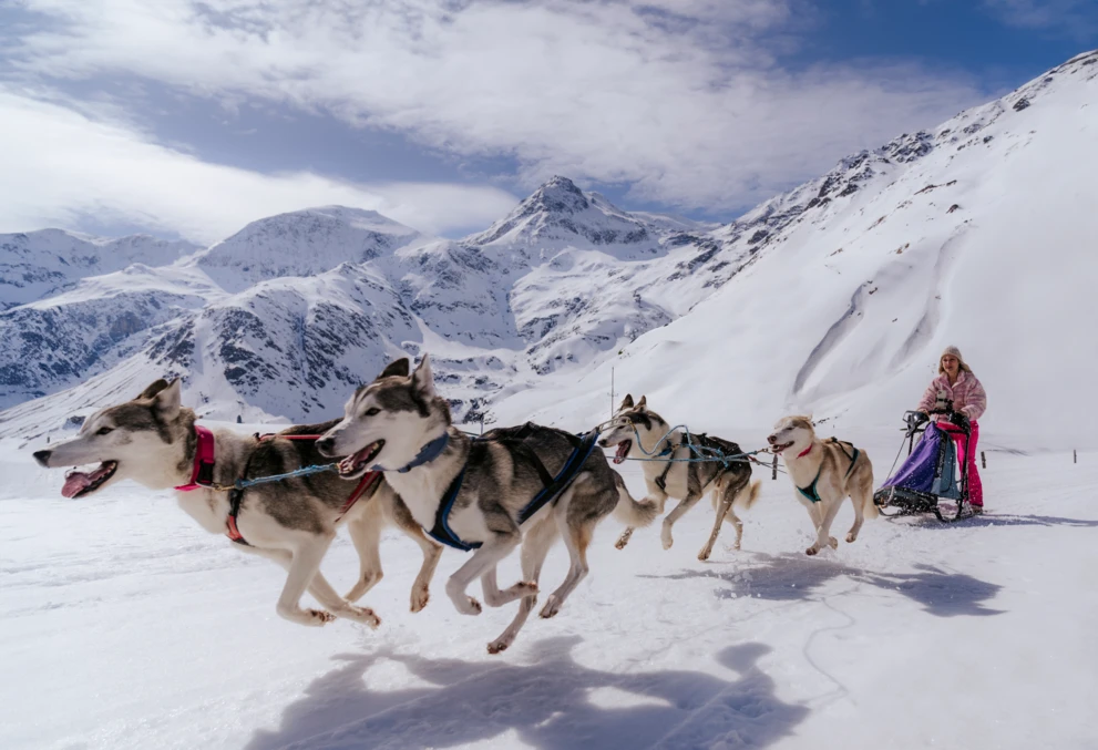 MEDRES_00000139336_Husky-Schlittentour-in-Sportgastein-Huskies-im-Laufen_Oesterreich-Werbung_Lisa-Eiersebner